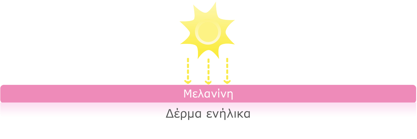 Ένας ήλιος που εκπέμπει ακτίνες προς μια οριζόντια ράβδο με την ένδειξη "Meyavin", με μια μικρότερη ράβδο από κάτω με την ένδειξη "Abha suhyika".