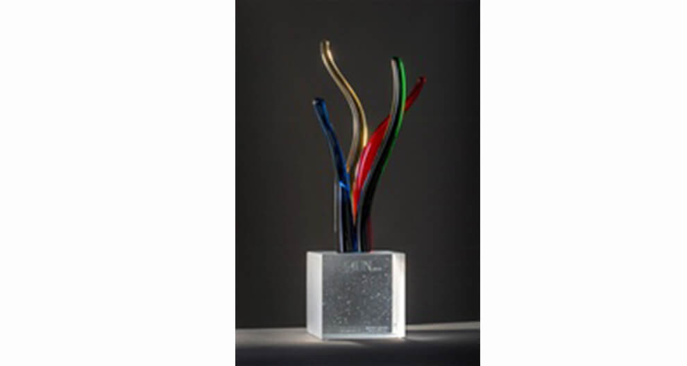 A clear rectangular vase with a textured surface holds multiple elongated, colorful stems protruding upwards.