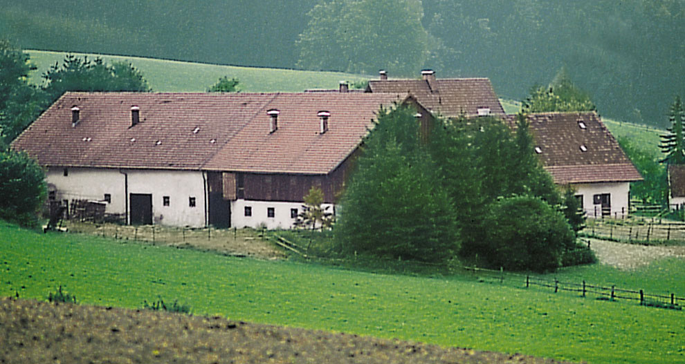 A rural scene with a white building, brown roofs, and green fields.