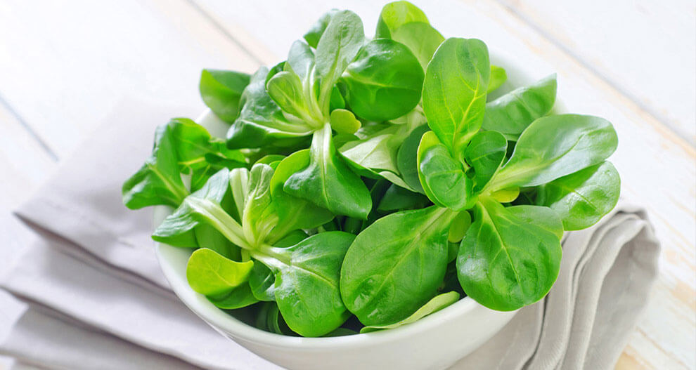 A bowl of fresh green leaves sits atop a folded cloth on a wooden surface.
